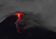 Gunung Merapi di Yogyakarta Luncurkan 15 Kali Guguran Lava Setinggi 1,8 Kilometer