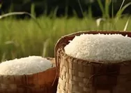 BULOG Pastikan Stok Beras dan Minyak Goreng RI Aman hingga Akhir 2026