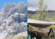 Pemandu Wisata yang Viral usai Bagikan Momen Erupsi Dukono Ngaku Janggal saat Lihat Gunung Sempat Tak Keluarkan Asap