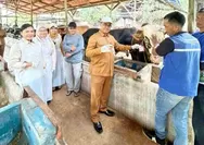 Berlabel SL, DPPP Pastikan Ribuan Hewan Kurban Dipastikan Sehat dan Aman di Konsumsi Masyarakat