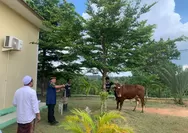 Kapolda Kepri Salurkan Bantuan Sapi Kurban di Ponpes Mambaus Sholihin Bintan