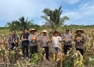 Polresta Barelang  Gelar Panen Raya Jagung, Dukung Program Swassembada Pangan Nasional 2026