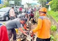 Nimpa Pengendara, BPBD Tanjungpinang Evakuasi Pohon Tumbang di Jalan KM 10