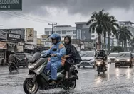 Minggu Ini Sebagian Besar Riau Berpotensi Hujan, Waspada Petir dan Angin Kencang