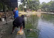 Legendaris Sejak 2013, Kolam Pancing GT Batam Jadi Tempan Favorit Penikmat Galatama