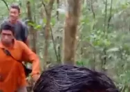 Musim Tiba, Masyarakat Letung Berburu Buah Kembang Semangkok