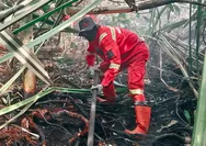 Karhutla di Indragiri Hulu Belum Padam, Tim Gabungan Berjibaku Hingga Hari Ke-11
