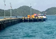 Minimnya Petugas Jaga di Pelabuhan, Akses Masuk Barang Ilegal Tak Terpantau