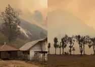 Terjadi Kebakaran di Gunung Semeru, Ranu Kumbolo Diselimuti Kabut Asap Tebal