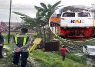 Kronologi Mobil Pengantar Jemaah Calon Haji Tertemper Argo Bromo di Grobogan, Polisi Sebut Jarak Pandang Sopir Terhalang Kabut