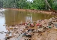 Teluk Buli Memerah, WALHI Desak Audit Total Aktivitas PT FHT