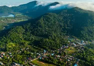 Pulau Penebang Punya Posisi Strategis untuk Dukung Hilirisasi dan Pertumbuhan Ekonomi Kalbar