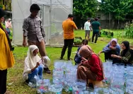 Hidroponik Sistem Sumbu Jadi Solusi Berkebun di Lahan Sempit, Murah dan Mudah untuk Pemula