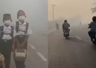 Kabut Asap Karhutla Kalimantan Berdampak ke Malaysia, 108 Sekolah di Sarawak Ditutup