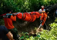 Pendaki 16 Tahun Tewas Terjatuh di Puncak Sejati Gunung Sumbing
