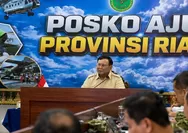 Prabowo Tinjau Karhutla di Sumsel, Soroti 2.894 Titik Panas di Sumatera