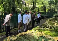 Taman Lumut Terbesar di Indonesia Direvitalisasi, Ini Wajah Baru Kebun Raya Cibodas di Usia 174 Tahun