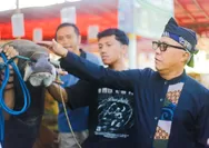 Jelang Iduladha 1447 H, Pemkot Bogor Periksa Kesehatan Hewan Kurban di Bubulak