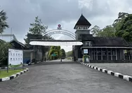 Cek Disini! Tarif Resmi Kebun Raya Cibodas Tahun 2026 Berlaku