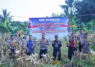 Dukung Swasembada Pangan, Sat Lantas Polres Bogor Panen Jagung Bersama Warga