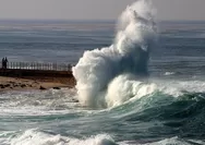 Jepang bangun Giant Sea Wall 400 km dan 9 juta pohon untuk menahan tsunami, Netizen: Kenapa Indonesia enggak ada..