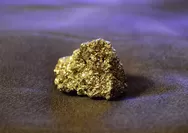 Tambang emas ilegal ditemukan di NTB dekat Mandalika, Polisi: Satu minggu beroperasi