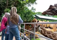 Destinasi Wisata Edukasi Zoo Terpopuler di Surabaya. Ternyata Kebun Binatang di Surabaya ini Terbesar Se Asia Tenggara loh!!