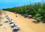 Pantai Karang Jahe, Surga Tersembunyi di Rembang dan Jejeran Pohon Pinus yang Eksotis