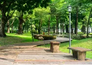 Daftar 10 Taman Kota yang Dibangun Pemprov DKI Jakarta di Tahun 2024, Wah Bisa Buat Piknik Gratis Nih!