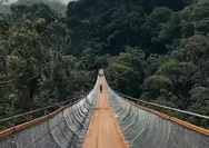 Mengenal Jembatan Gantung Terpanjang di Jawa Barat dan Asia Tenggara, Membelah Kawah Rengganis Ketinggian 75 Meter