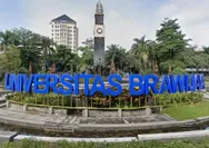 Nilai Aman UTBK Agar Lolos SNBT 2024 di 83 Jurusan Universitas Brawijaya, Cek Peluang Lolos!