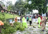 Belasan Pohon Tumbang Akibat Angin Kencang di Salatiga, Kapolres Pimpin Langsung Evakuasi