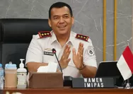 Profil Lengkap Silmy Karim: Jejak Karier dari Industri Pertahanan, Krakatau Steel, Dirjen Imigrasi hingga Wakil Menteri