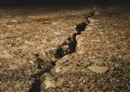 Gempa Tuban Terjadi Lebih dari 300 Kali Sejak Jumat, Guncangan Terbaru di Rabu Siang dengan Magnitudo 4,1