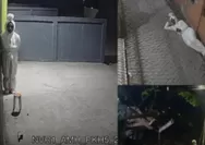  Terbongkar Modus 'Pocong Keliling' yang Diduga Terjadi di Jabar, Bermula dari Ketuk-ketuk Pintu Rumah Warga
