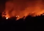 Karhutla Landa Gunung Geulis Sukabumi, 4 Hektare Ladang dan Hutan Bambu Terbakar