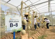 BRI Kembangkan Urban Farming di Lahan Sempit Lewat Program BRInita