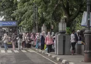 Top 4 Kota Terluas di Jawa Barat: Bandung Bukan yang Pertama, Kalah dengan Kota Seluas 206,61 Km Persegi ini!