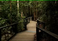 Dibangun Rp 17 Miliar, Jembatan Hutan di Tengah Kota Bandung Ini Cocok Buat Wisata Gratis