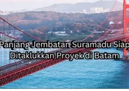 Lebih Panjang dari Suramadu, Jembatan Penyeberangan Batam-Bintan Dianggarkan Rp4,3 Triliun Ini Siap jadi yang Terpanjang di Indonesia