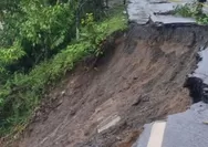 Pengamat Tata Kota Tegaskan Kerusakan Lingkungan Jadi Akar Masalah Banjir Besar di Sumatera dan Aceh