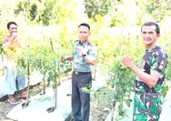 Beri Motivasi Koramil 05/Essang Dukung Pemanfaatan Lahan Untuk Han Panga