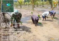 Wujudkan Ketahanan Pangan dari Desa: Koramil 1312-08/Melonguane Dampingi Petani Tanam Padi Varietas Unggul di Ambela