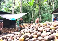 Babinsa Komsos Dengan Masyarakat Petani Kelapa Di Desa Karatung