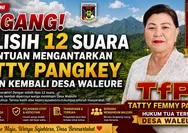 Tegang! Selisih 12 Suara Antar Tatty Pangkey Kembali Pimpin Desa Waleure