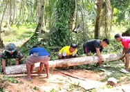 Tingkatkam Kemanunggalan TNI-Rakyat Babinda Ramil - 05/Essang Ikut Kerja Bakti