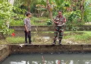 Pantau Budidaya Ikan Air Tawar, Babinsa Laksanakan Pendampingan
