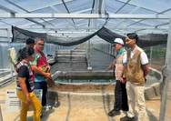 PLN UP3 Manado Perkuat Ketahanan Pangan Lokal melalui Program Pengembangan Budidaya dan Pengolahan Spirulina di Desa Tarabitan