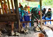 Babinsa Koramil-04/Rainis Bantu dan Pantau Pembangunan RTLH di Wilayah Binaan