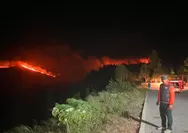 Kebakaran Landa Kawasan Hutan Lindung Gunung Soputan di Minahasa Tenggara